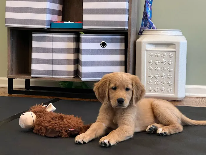 Macungie Animal Hospital 12