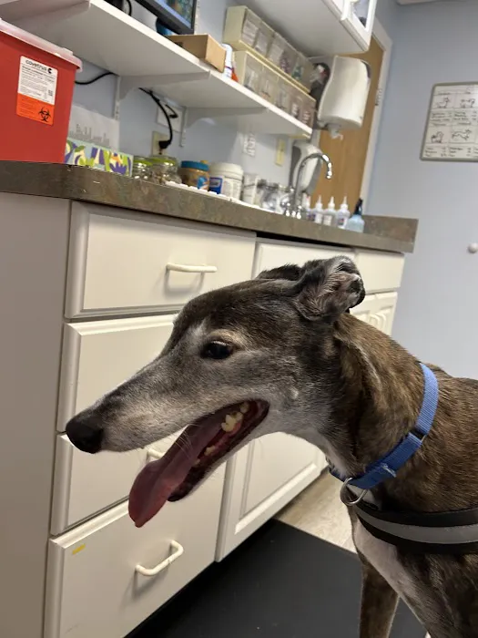 Alburtis Animal Hospital 12