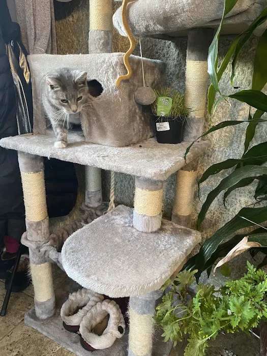 Alburtis Animal Hospital 12