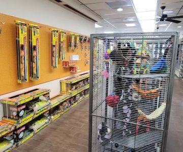 Pets and Supplies