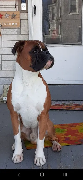 VCA East Penn Animal Hospital 12