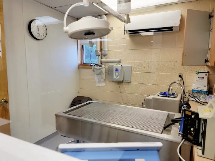 VCA East Penn Animal Hospital 12