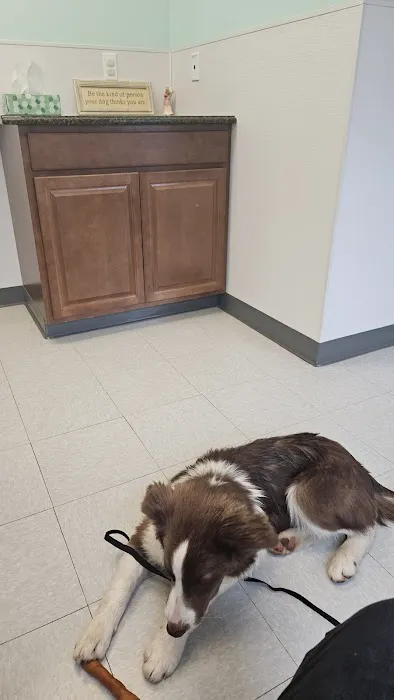 Creekview Veterinary Hospital 12