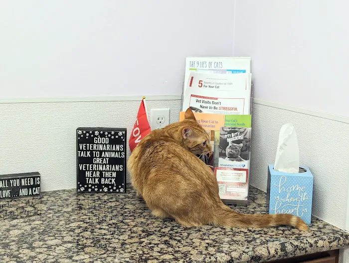 Creekview Veterinary Hospital 12