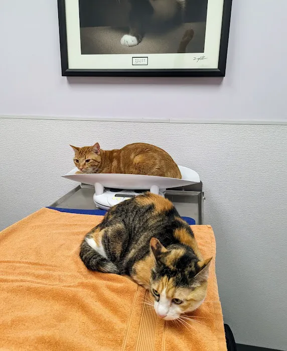Creekview Veterinary Hospital 12