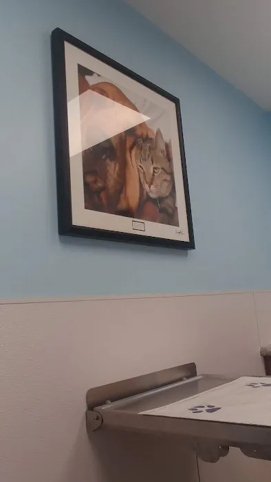 Creekview Veterinary Hospital 12