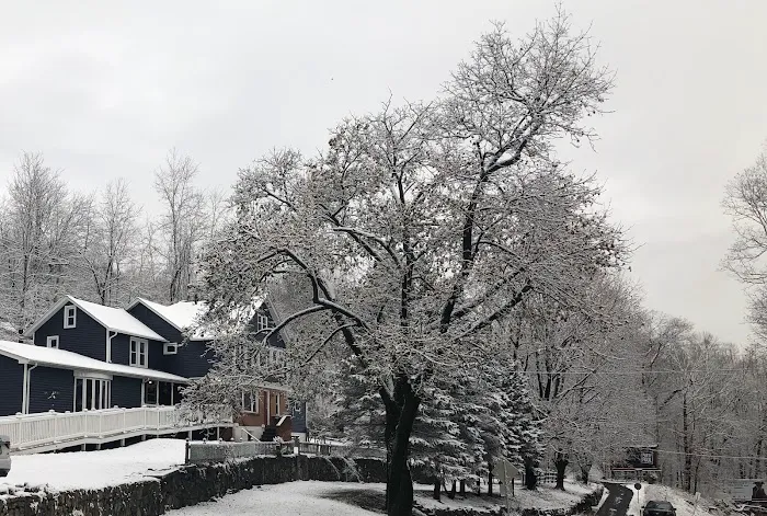 Upper Saucon Animal Hospital 12