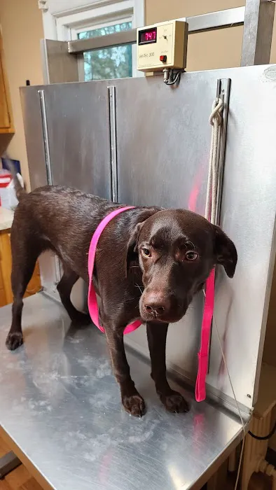 Upper Saucon Animal Hospital 12