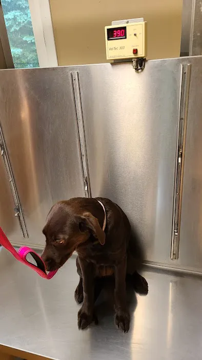 Upper Saucon Animal Hospital 12