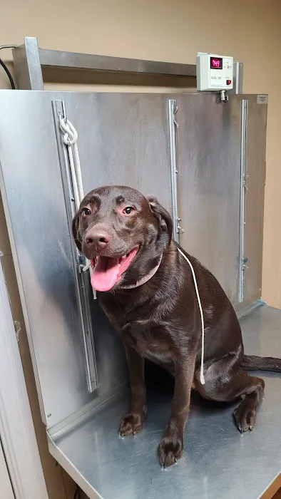 Upper Saucon Animal Hospital 12