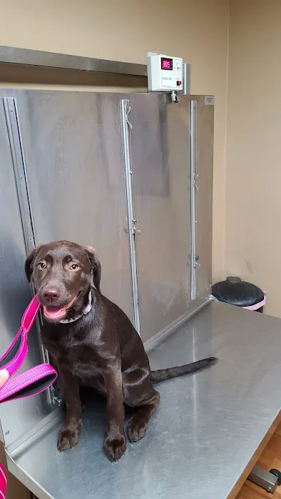 Upper Saucon Animal Hospital 12