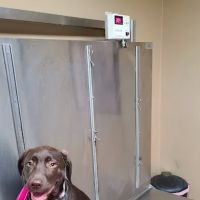 Upper Saucon Animal Hospital ico