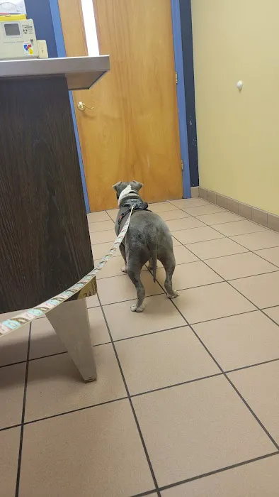Alpha Veterinary Care 12