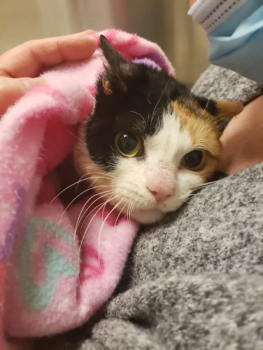 Alpha Veterinary Care 12