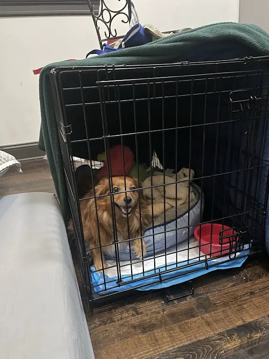 William Penn Veterinary Hospital 12