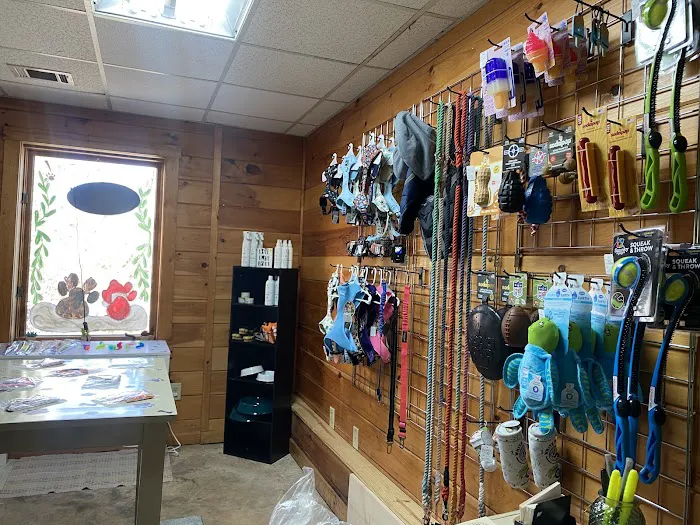 Lucky Lyric Boutique 12