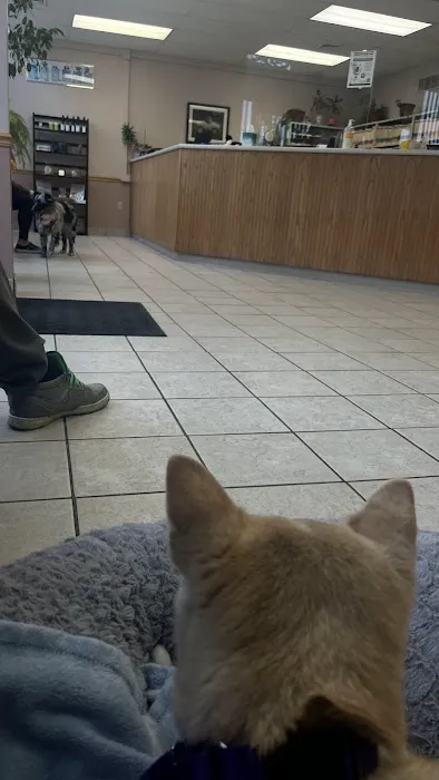 North Saucon Animal Hospital 12