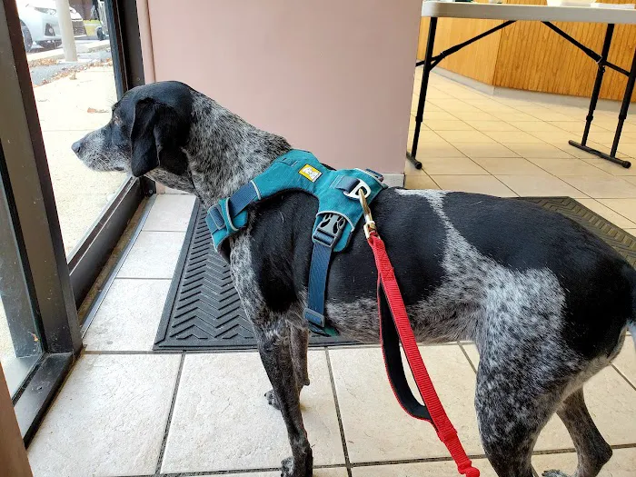 North Saucon Animal Hospital 12