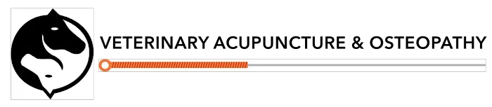 Veterinary Acupunture 12