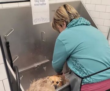 Pet Supermarket