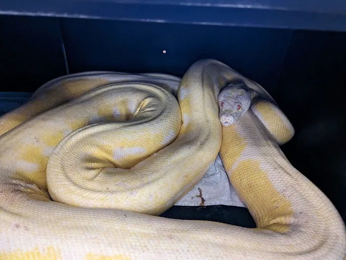 The Critter Center 2