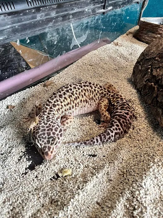 Kelly Family Pets 12
