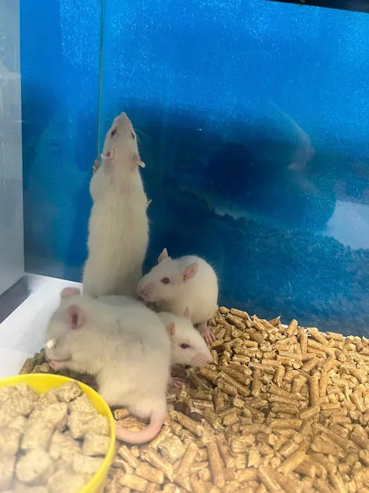 Kelly Family Pets 12