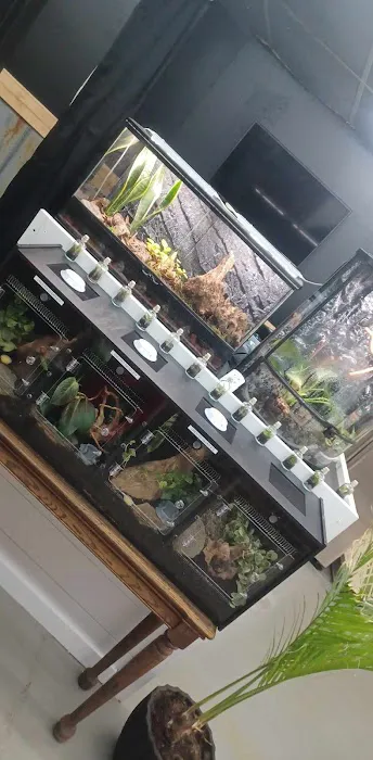 R3N3GAD3 REPTILES 12