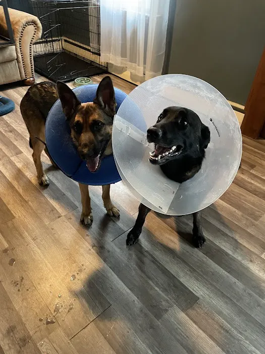 Warren Animal Hospital 12