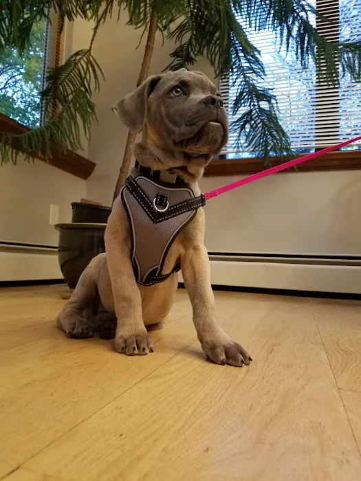 Warren Animal Hospital 12