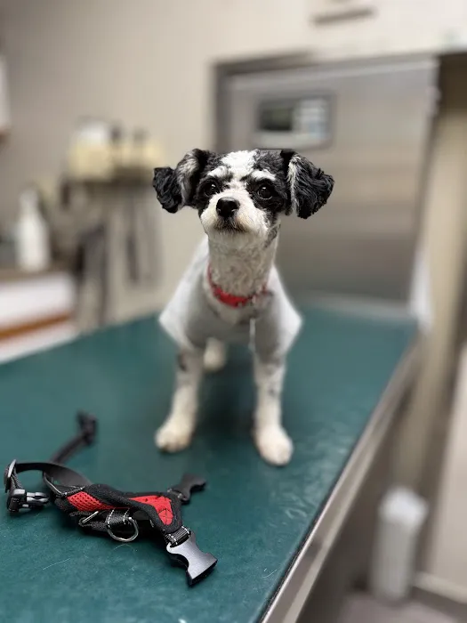 Warren Animal Hospital 12