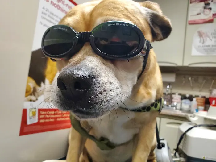 Warren Animal Hospital 12