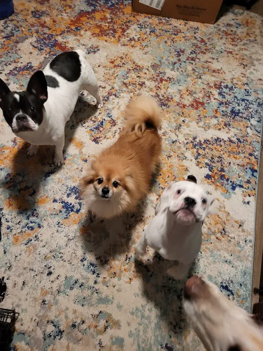 Warren Animal Hospital 12