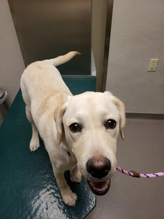 Warren Animal Hospital 12