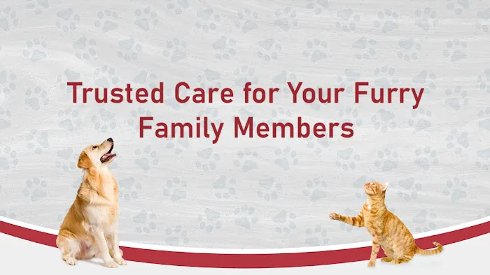 Warren Animal Hospital 12