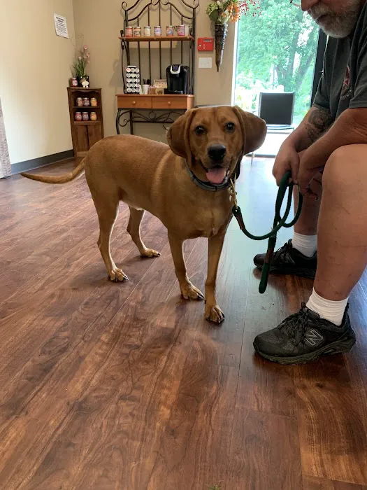 Canyon River Run Vet Clinic 12