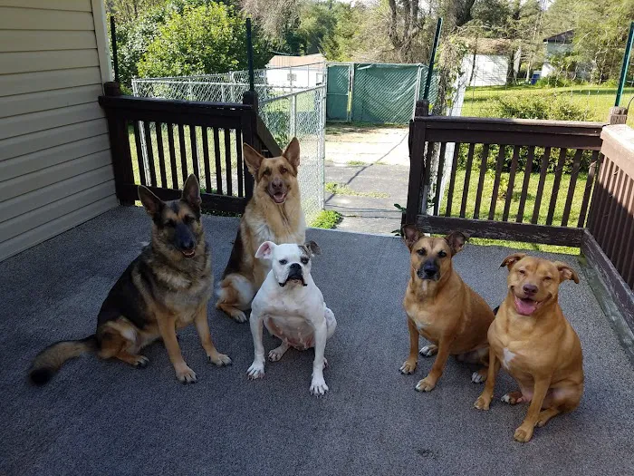 Canyon River Run Vet Clinic 12