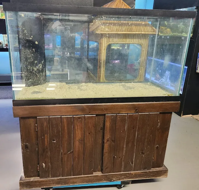 Under The Sea Aquatics 12