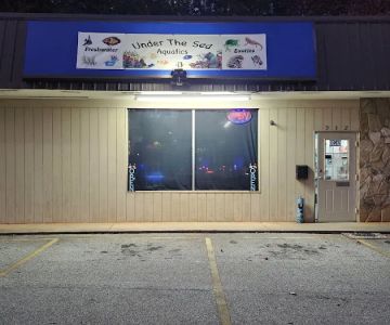 Under The Sea Aquatics