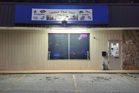 Under The Sea Aquatics