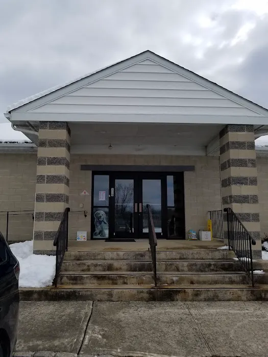 All4Paws Vet Clinic 12