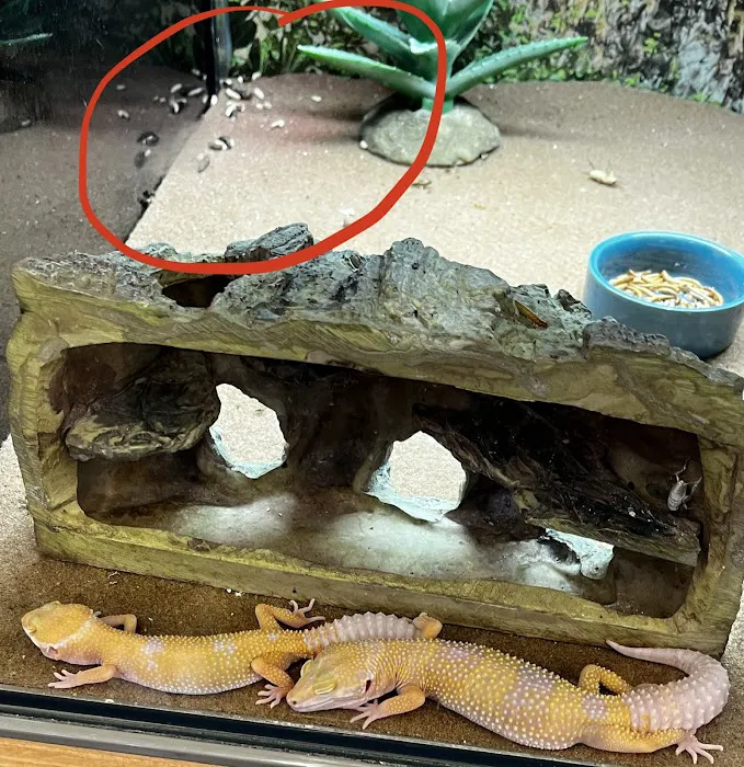 Petco 12