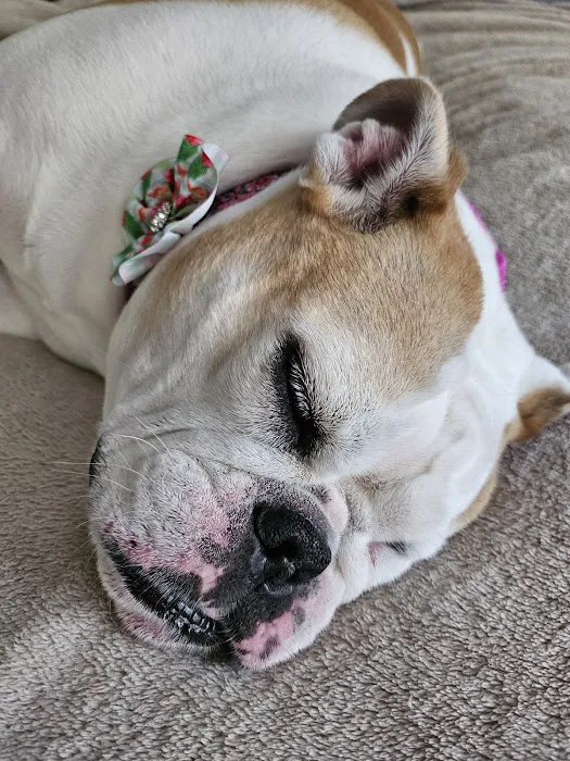 Petco 12