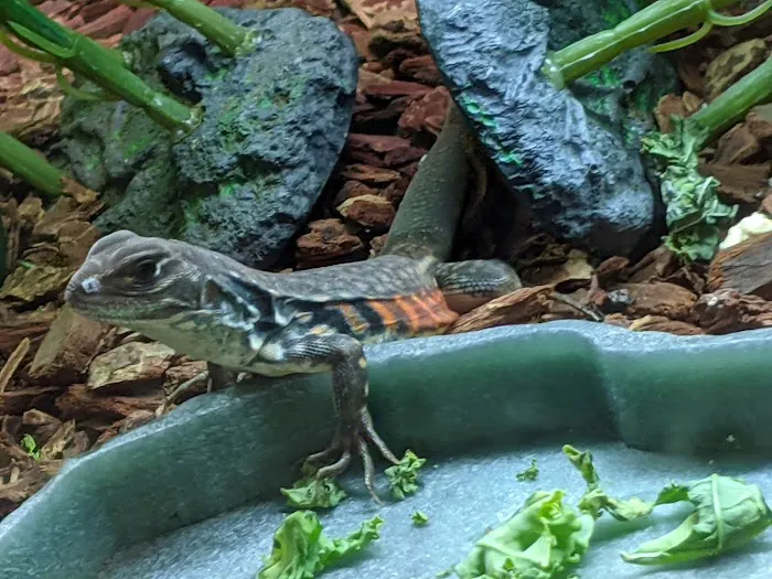 Petco 12
