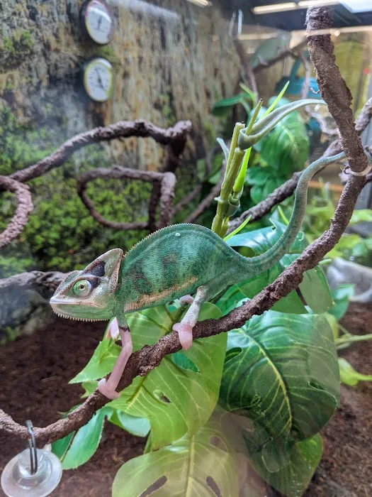 Petco 12