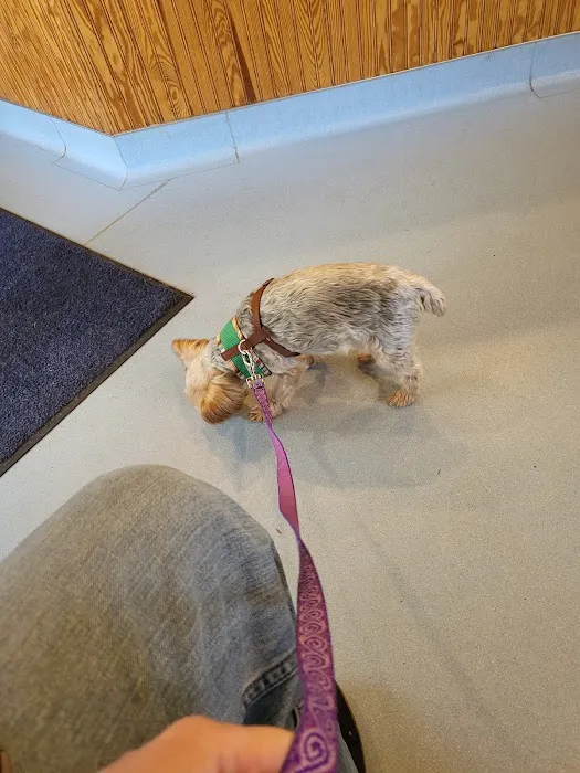 Harmony Animal Hospital: Epple W N DVM 12