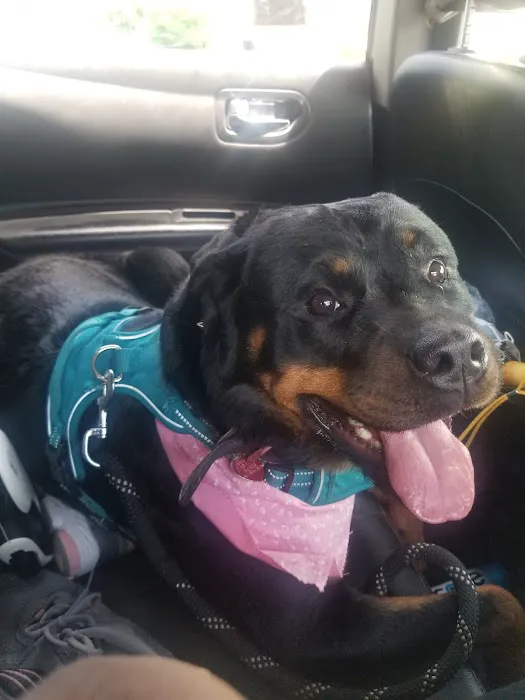 Harmony Animal Hospital: Epple W N DVM 12