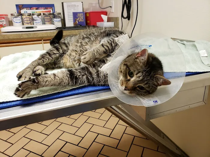 Wright Veterinary Medical Center 12