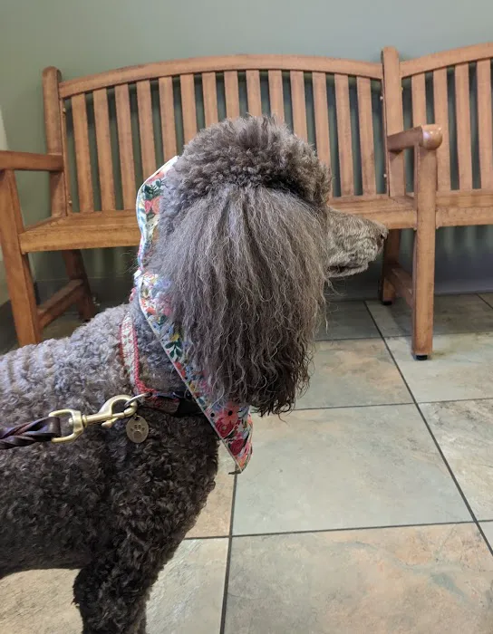 Wright Veterinary Medical Center 12