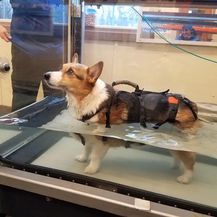 Animal Therapy Center 12